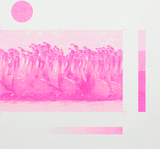Risograph成為了平面藝術(shù)家們的心頭愛